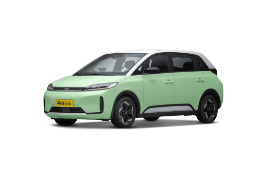 BYD D1